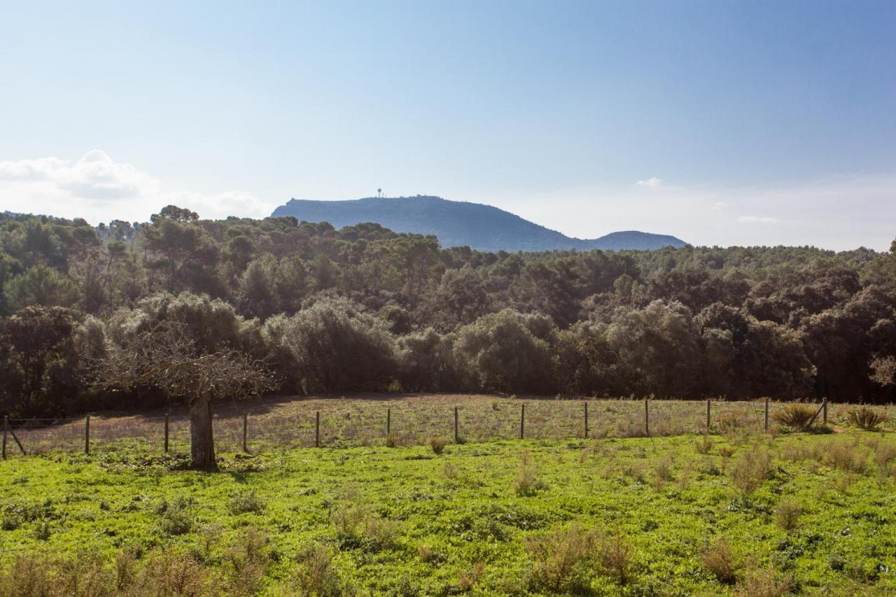 Oliver Moragues Grandhouse & Vineyard Algaida  Exterior foto