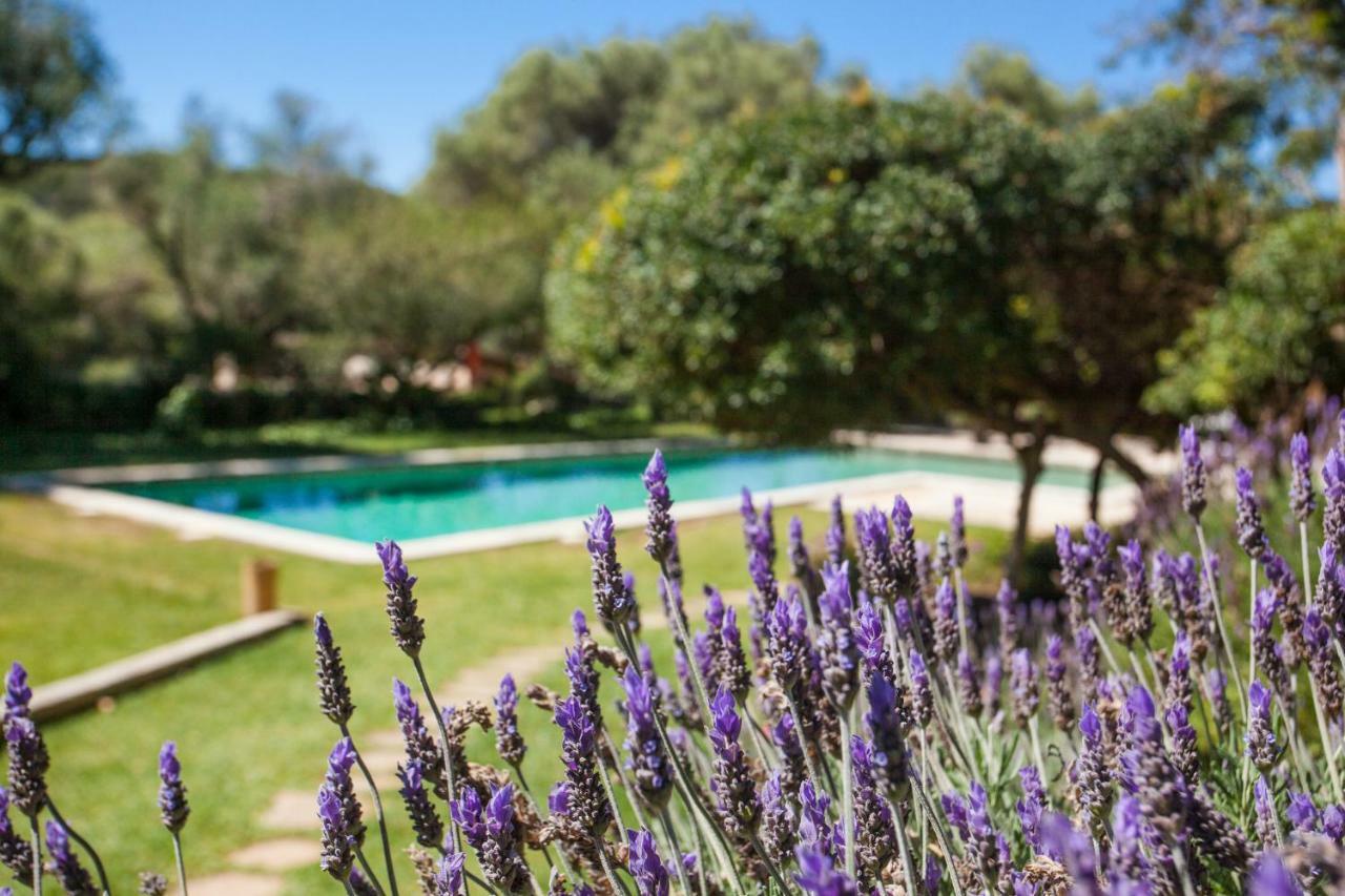 Oliver Moragues Grandhouse & Vineyard Algaida  Exterior foto